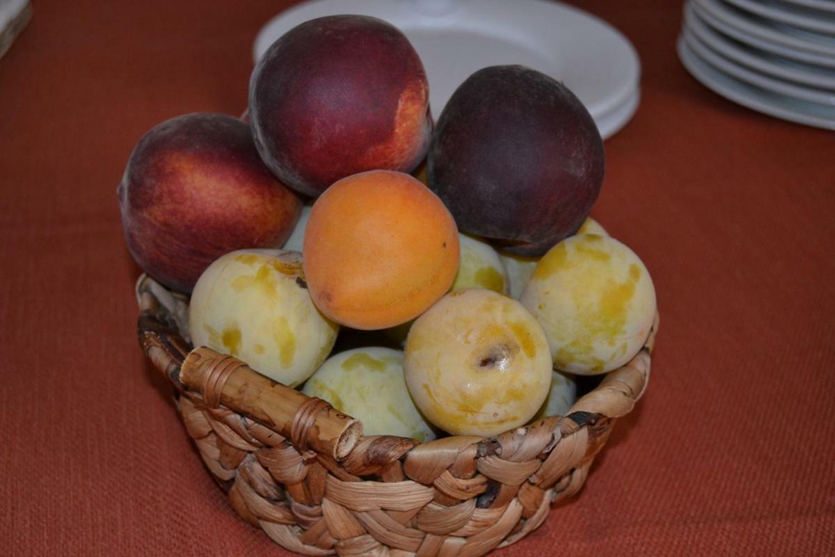 Alloggio per agriturismo Marila’